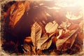 Beautiful autumn leaves, leaf background, old photo effect. Royalty Free Stock Photo