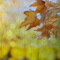 Autumn leaves on rainy day, view through window Royalty Free Stock Photo