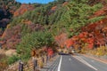 Beautiful autumn leaves and trees at Momiji tunnel.