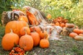 Beautiful autumn location with pumpkins, Halloween