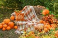 Beautiful autumn location with pumpkins, Halloween