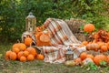 Beautiful autumn location with pumpkins, Halloween