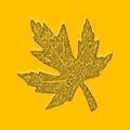 Beautiful autumn maple leaf black iand white llustration on yellow background with copy space. Autumn seasonal backdrop for