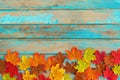 Beautiful autumn maple leaves background. Royalty Free Stock Photo