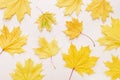 Beautiful autumn maple leaves background. Nature fall season Royalty Free Stock Photo