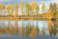 Beautiful autumn morning landscape of Kymijoki river waters. Finland, Kymenlaakso, Kouvola Royalty Free Stock Photo