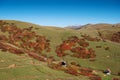 Beautiful autumn mountain landscape with colorful trees, snow peaks and old houses. Traveling through the mountains of Georgia Royalty Free Stock Photo