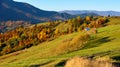 Beautiful autumn mountain landscape in the morning light with bright trees