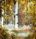 Beautiful autumn mystical background photo montage with a birch