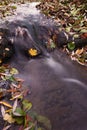 Beautiful autumn nature with a stream. Autumn leaves. Natural seasonal colored background
