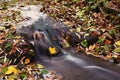 Beautiful autumn nature with a stream. Autumn leaves. Natural seasonal colored background