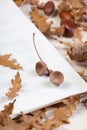 beautiful autumn oak leaves and acorns on a white slate or stone background lie in a chaotic order. view from above. Royalty Free Stock Photo