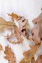 beautiful autumn oak leaves on a white slate or stone background lie in a chaotic order. view from above. Royalty Free Stock Photo