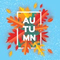 Beautiful Autumn Paper Cut Leaves. Hello Autumn. September flyer template. Royalty Free Stock Photo