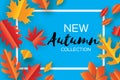 Beautiful Autumn paper cut leaves. Hello Autumn. September flyer template. Rectangle frame. Space for text. Origami Royalty Free Stock Photo