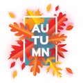 Beautiful Autumn Paper Cut Leaves. Hello Autumn. September flyer template. Rectangle frame. Space for text. Origami Royalty Free Stock Photo