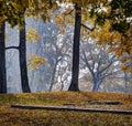 Beautiful autumn park