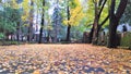 Beautiful autumn park. Autumn in Italy. Autumn trees