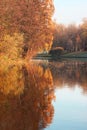 Beautiful autumn park. Autumn in Minsk. Autumn trees and leaves. Autumn Landscape.Park in Autumn. Mirror reflection of trees in wa Royalty Free Stock Photo