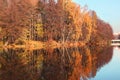 Beautiful autumn park. Autumn in Minsk. Autumn trees and leaves. Autumn Landscape.Park in Autumn. Mirror reflection of trees in wa Royalty Free Stock Photo