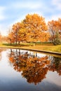 Beautiful autumn park. Autumn in Minsk. Autumn trees and leaves. Autumn Landscape.Park in Autumn. Mirror reflection of trees in wa Royalty Free Stock Photo