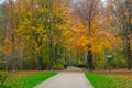 Beautiful autumn park Royalty Free Stock Photo