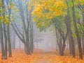 Beautiful autumn park with colorful red and yellow trees in morning mist Royalty Free Stock Photo