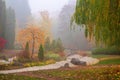 Beautiful autumn park with colorful red and yellow trees in morning mist