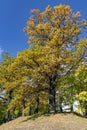 Beautiful autumn park with fall color foliage bright autumn day in Riga