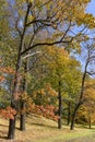 Beautiful autumn park with fall color foliage bright autumn day in Riga Royalty Free Stock Photo