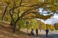 Beautiful autumn park with fall color foliage near to urban infrastructure