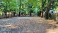 Beautiful autumn park. Autumn in Italy. Autumn trees and leaves