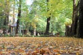 Beautiful autumn park. Autumn in Italy. Autumn trees and leaves