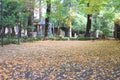 Beautiful autumn park. Autumn in Italy. Autumn trees and leaves