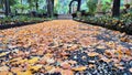 Beautiful autumn park. Autumn in Italy. Autumn trees and leaves