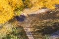 Beautiful autumn park landscape with wooden arbor. aerial top view Royalty Free Stock Photo