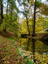 Beautiful autumn park Royalty Free Stock Photo