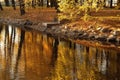 Beautiful autumn park, trees with yellow brown leaves around the pond Royalty Free Stock Photo