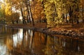 Beautiful autumn park, trees with yellow brown leaves around the pond Royalty Free Stock Photo
