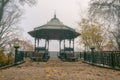 Beautiful autumn park Volodymyrska Hirka or Saint Volodymyr Hill at misty late fall day, Kyiv Kiev, Ukraine. Scenic landscape