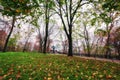 Beautiful autumn park Volodymyrska Hirka or Saint Volodymyr Hill at misty late fall day, Kyiv Kiev, Ukraine. Scenic landscape