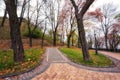 Beautiful autumn park Volodymyrska Hirka or Saint Volodymyr Hill at misty late fall day, Kyiv Kiev, Ukraine. Scenic landscape