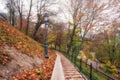 Beautiful autumn park Volodymyrska Hirka or Saint Volodymyr Hill at misty late fall day, Kyiv Kiev, Ukraine. Scenic landscape