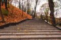 Beautiful autumn park Volodymyrska Hirka or Saint Volodymyr Hill at misty late fall day, Kyiv Kiev, Ukraine. Scenic landscape