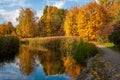 Beautiful autumn park with yellowed trees reflected in the water