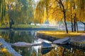 Beautiful autumn park with yellowed willow trees reflected in the water
