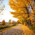 Pathway in the Fall Royalty Free Stock Photo