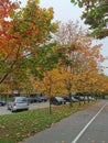 A beautiful autumn pedestrian street in the city covered with yellow leaves. Golden autumn in Minsk, Belarus