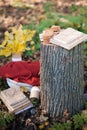 Beautiful autumn photo. Books stacked with string, old stump, wicker basket with a soft plaid. Royalty Free Stock Photo