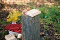 Beautiful autumn photo. Books stacked with string, old stump, wicker basket with a soft plaid. Royalty Free Stock Photo